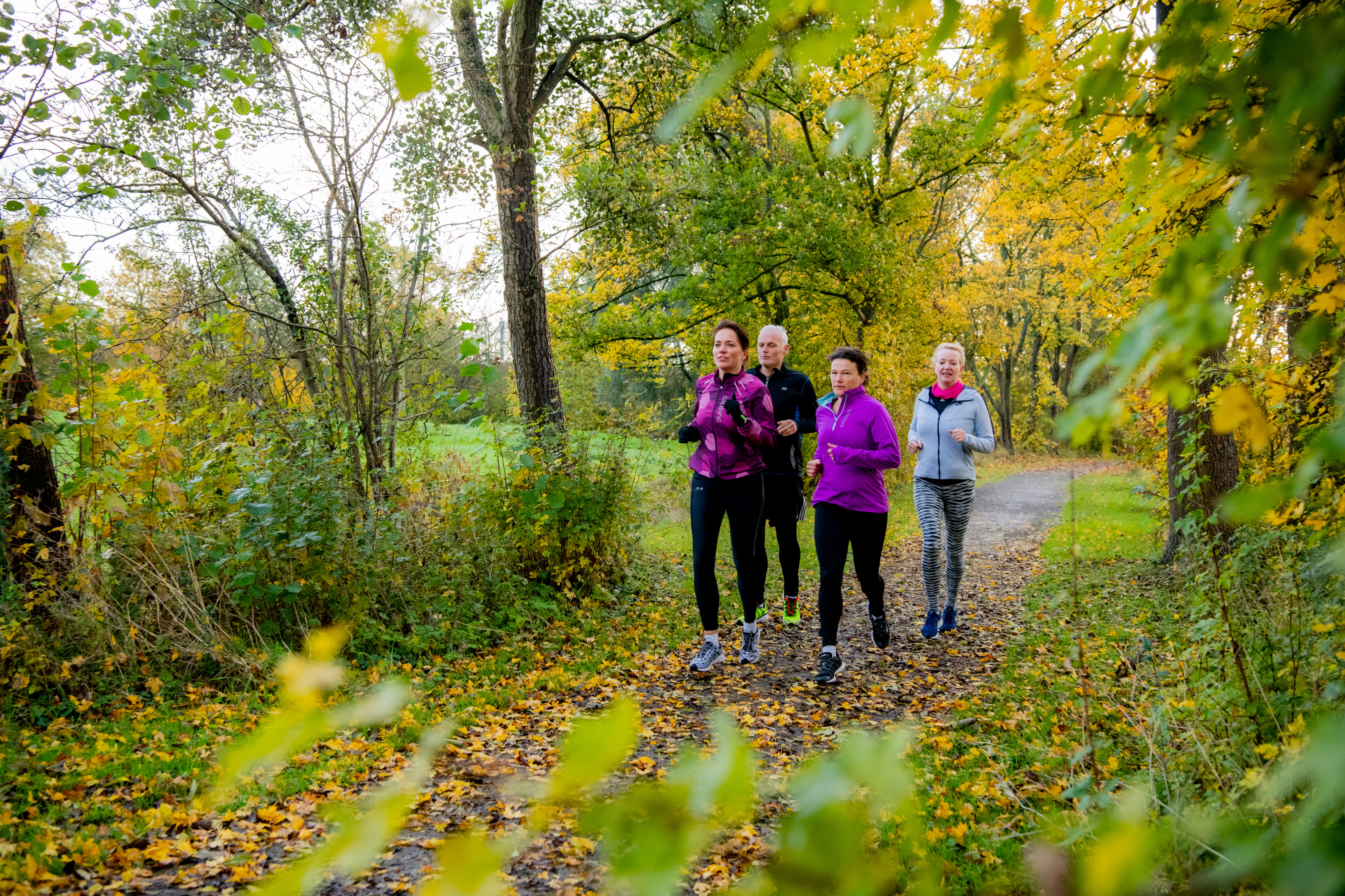 Vier mensen aan het hardlopen door een bosrijke omgeving tijdens Hardlooptraining