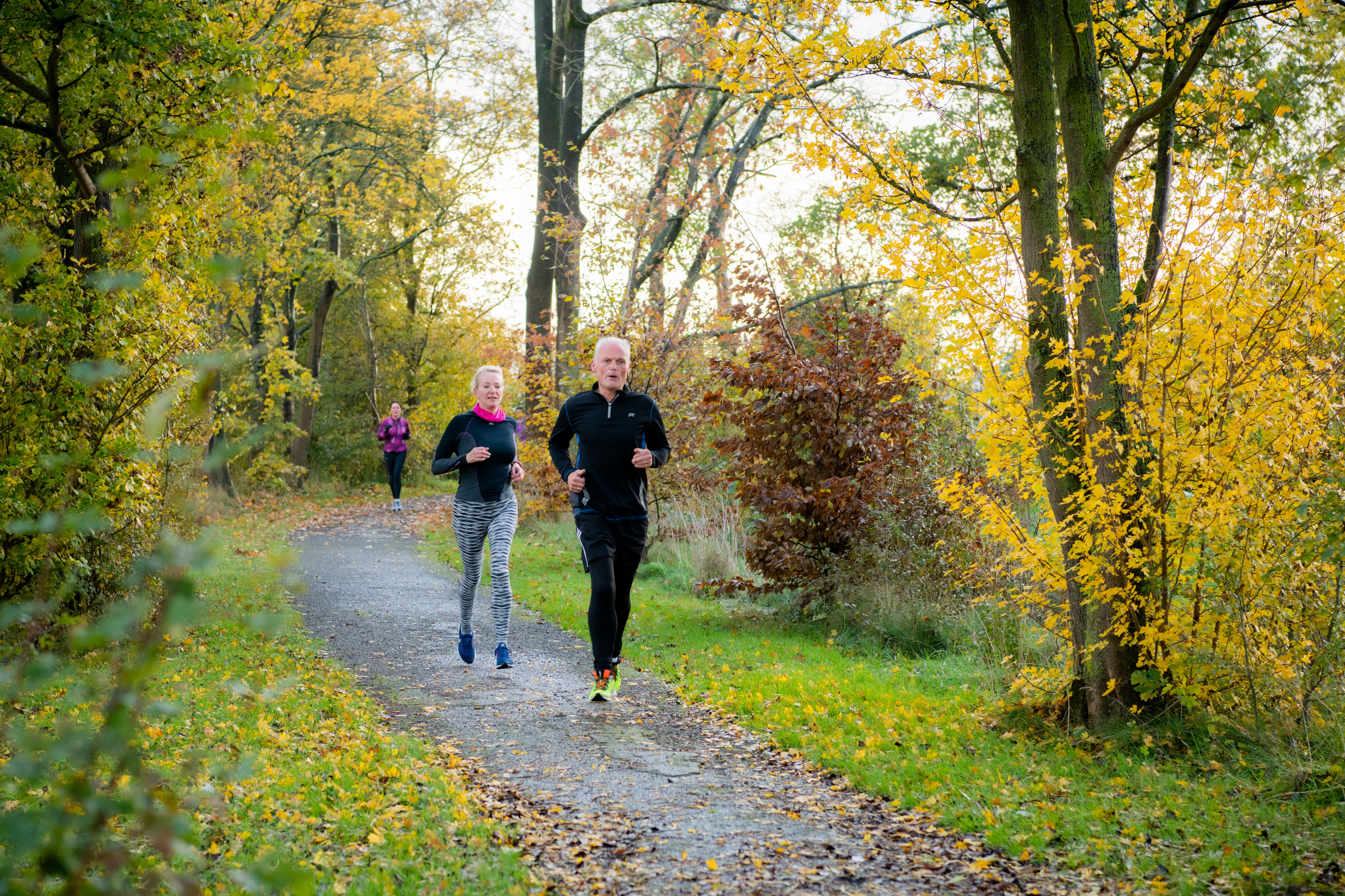 Drie mensen aan het hardlopen op hun eigen tempo door een bosrijke omgeving