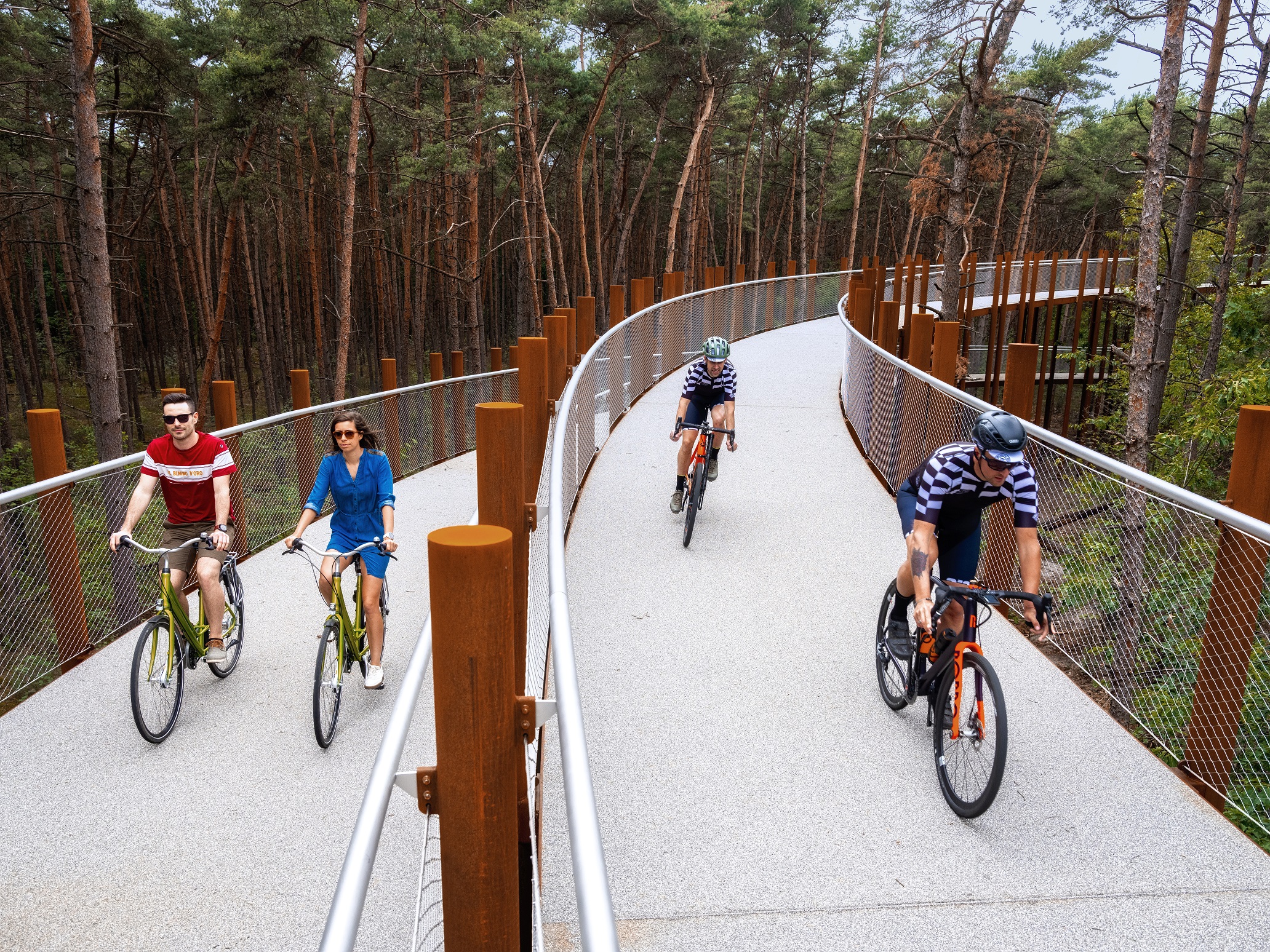 Fietsen door de bomen