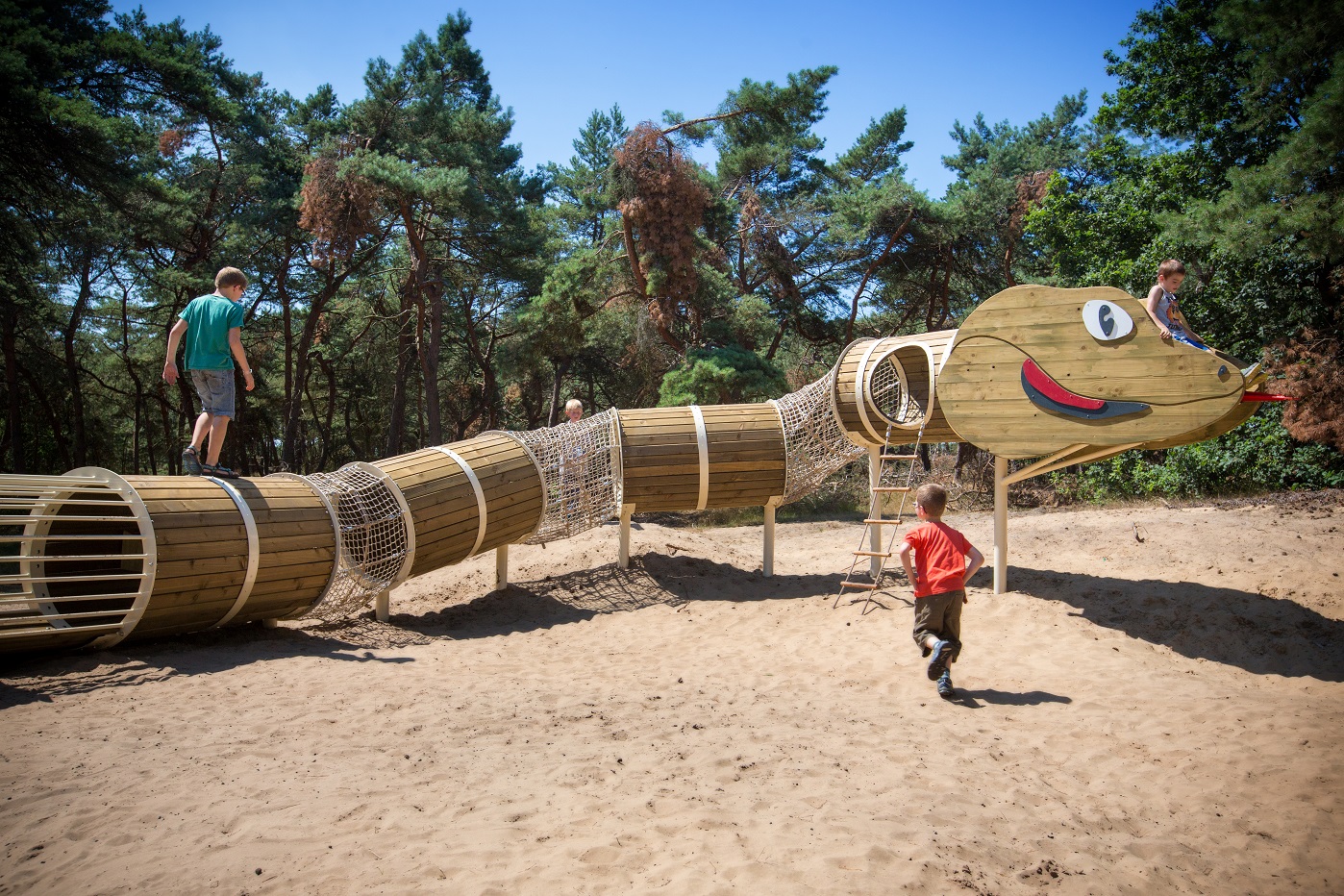 Wandelen in de Sahara in Lommel bij Optisport De Soeverein