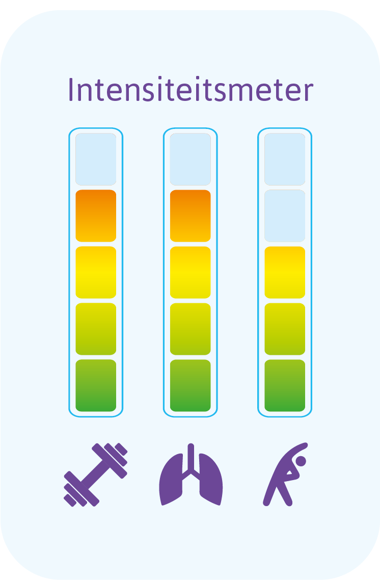 Intensiteitsmeter