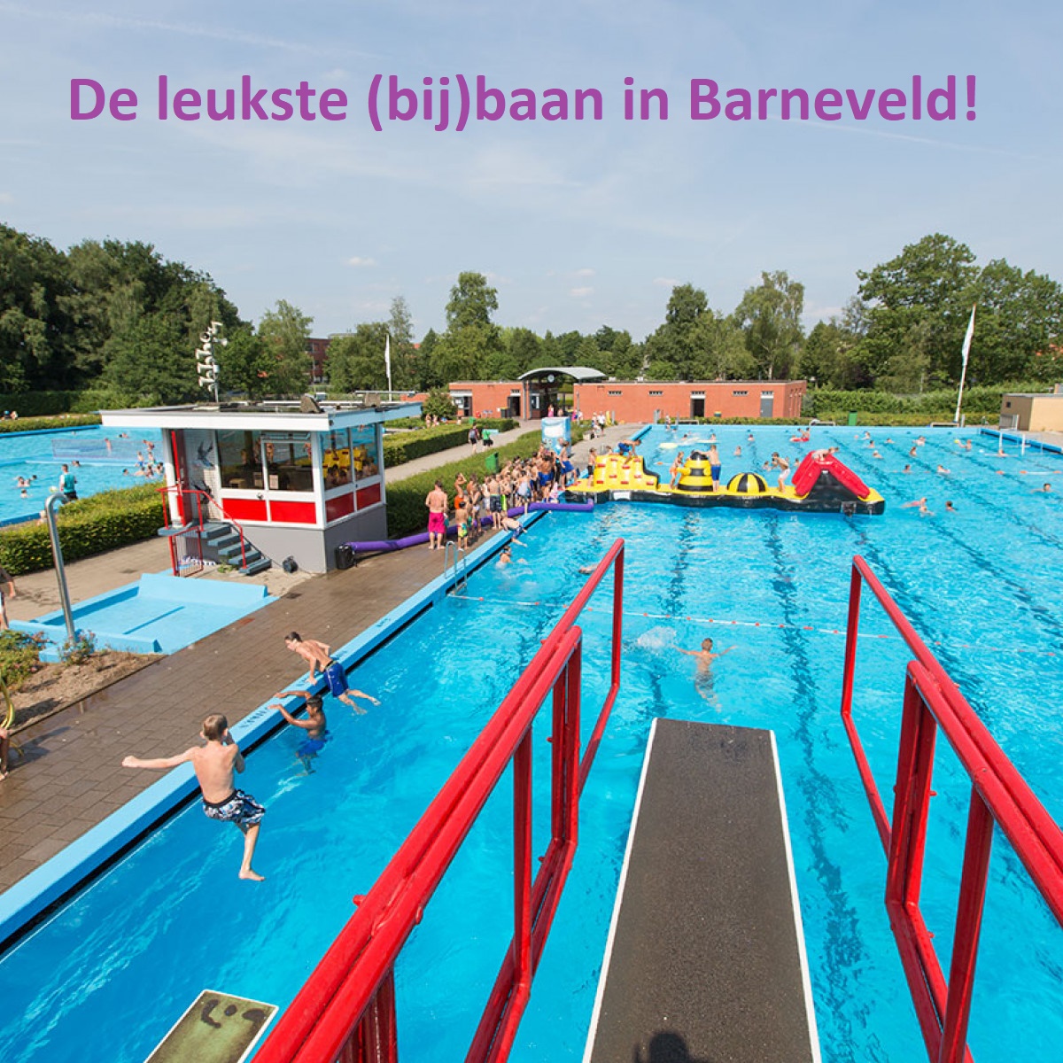 De leukste (bij)baan in Barneveld