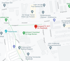 Google maps Optisport De Hoge Bomen Naaldwijk