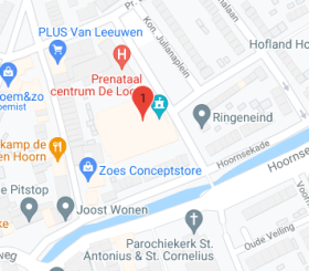 Google maps Optisport De Hoornbloem 