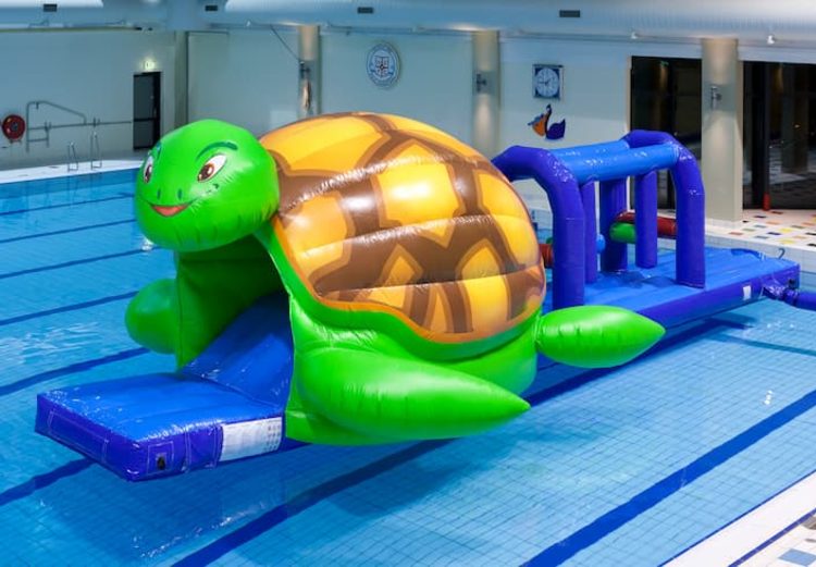 schildpad
