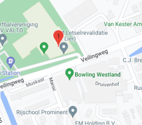 Google maps Optisport Vreeloo