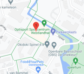 Google maps Optisport Sporthal De Westlandhal