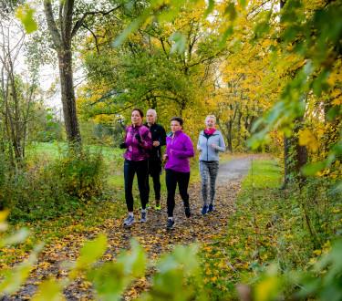 afbeelding Hardlooptraining
