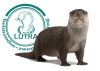 Lutra otter